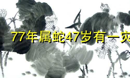 77年属蛇47岁有一灾 1977年属蛇女在2024年运程和运势