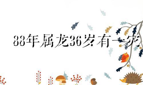 88年属龙36岁有一灾 2024年属龙人全年每月运程