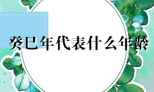 癸巳年代表什么年龄 癸巳年是什么意思