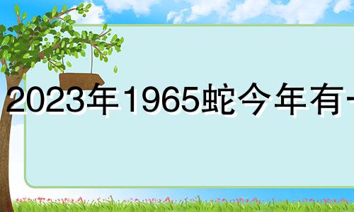 2023年1965蛇今年有一难 属蛇一生最克3个人