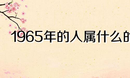 1965年的人属什么的