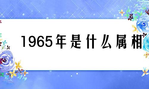 1965年是什么属相