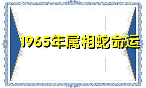 1965年属相蛇命运