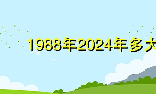 1988年2024年多大 2024年1988年龙年多大