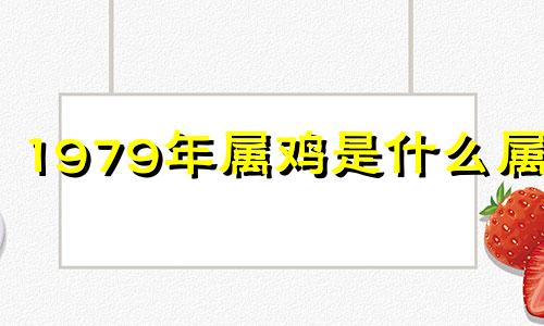 1979年属鸡是什么属性 79年出生属鸡的是什么命