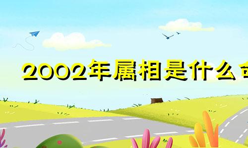 2002年属相是什么命 2002年属相是什么属相