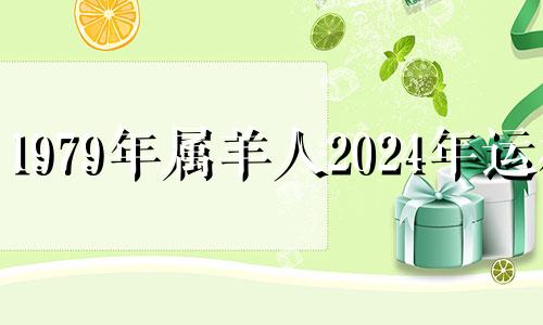 1979年属羊人2024年运程 1979年在2024年运程