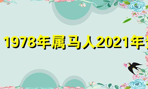 1978年属马人2021年贵人 78年属马2022年有贵人相助吗