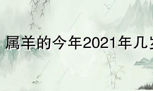 属羊的今年2021年几岁 属羊的2022年多大年龄