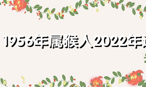 1956年属猴人2022年运势 1956年属猴2020年运势及运程每月运程