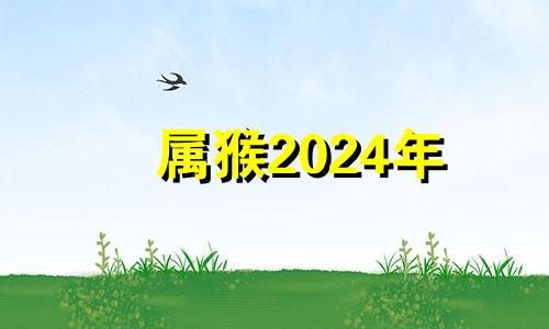 属猴2024年 属猴在2024年运势怎么样