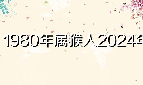 1980年属猴人2024年运势 80年属猴女2024年运势每月运势