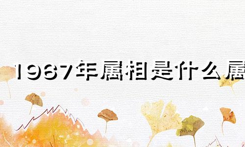 1967年属相是什么属相 1967年属于什么生肖?