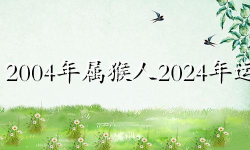 2004年属猴人2024年运势 2004年的猴在2022年运势怎样