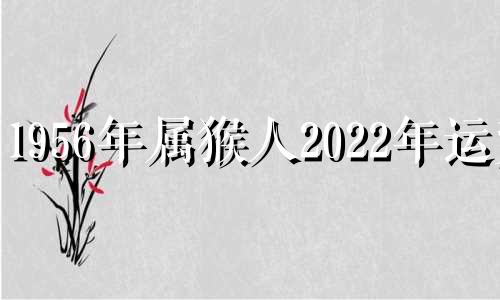 1956年属猴人2022年运势 1956年生肖猴2022年运势