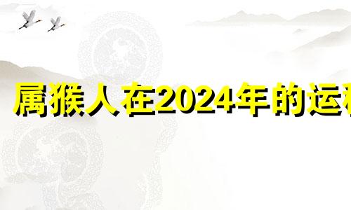 属猴人在2024年的运程 生肖猴2024