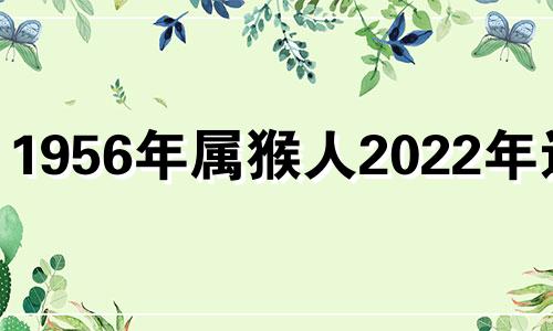 1956年属猴人2022年运势 1956年的猴2020年的运气