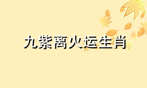 九紫离火运生肖 九紫离火运属火的人