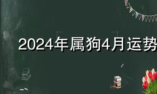 2024年属狗4月运势 生肖狗在2024年的运势以及注意月份