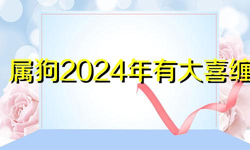 属狗2024年有大喜缠身 94年男狗姻缘