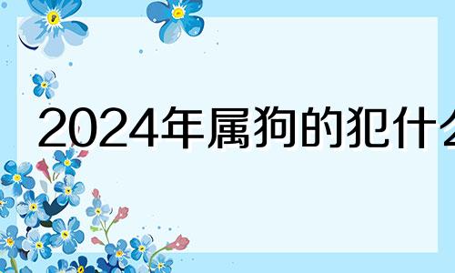 2024年属狗的犯什么 2024年属狗人的命运