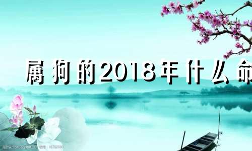 属狗的2018年什么命 2018年属狗的啥命