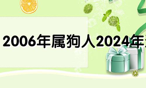 2006年属狗人2024年运势 2024年属狗的全年运势如何