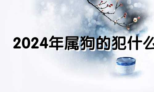 2024年属狗的犯什么 生肖狗在2024年的运势以及注意月份