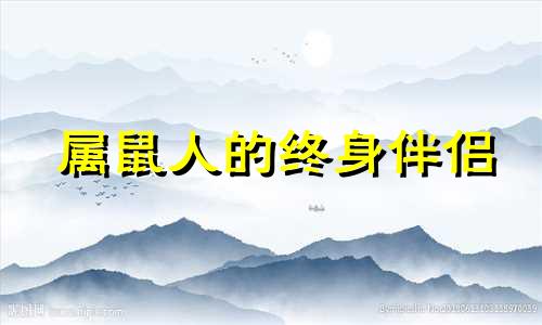 属鼠人的终身伴侣 属鸡人的终身伴侣属鸡2024