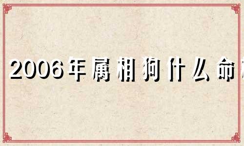 2006年属相狗什么命格 2006年的狗属什么命