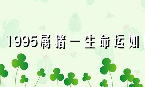 1995属猪一生命运如何 1995属猪人生劫难