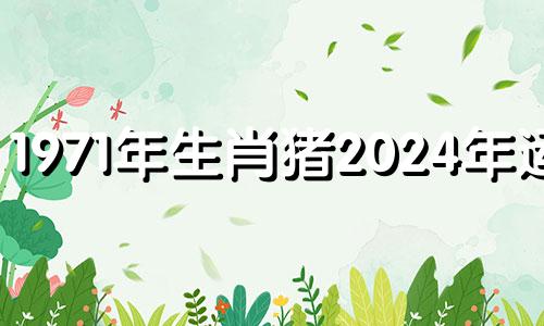 1971年生肖猪2024年运势 生肖猪在2024年的运势