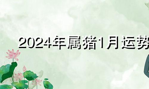 2024年属猪1月运势 生肖猪在2024年的运势