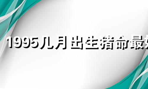 1995几月出生猪命最好 1995属猪男的命运与婚姻