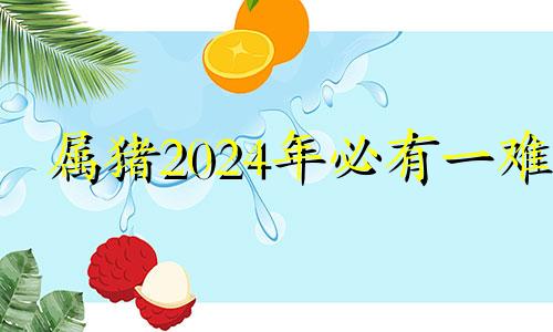 属猪2024年必有一难 2024年属猪大爆发