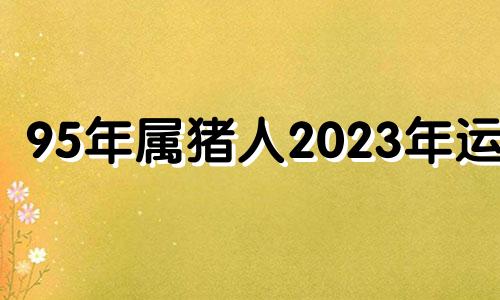 95年属猪人2023年运程