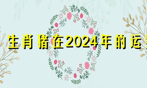 生肖猪在2024年的运势 2024年属猪的财运和运气如何