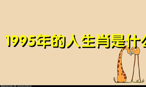 1995年的人生肖是什么