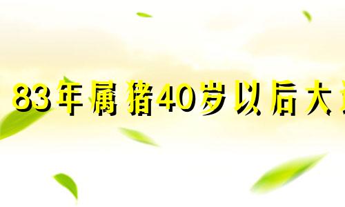 83年属猪40岁以后大运 1983年属猪46岁大灾能破吗