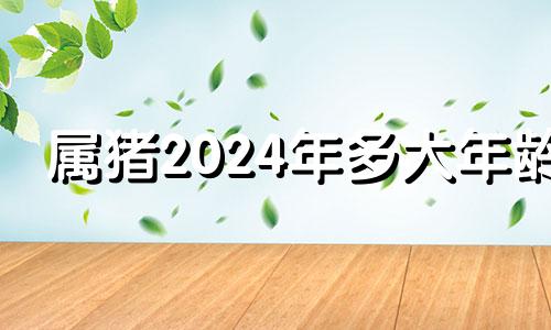 属猪2024年多大年龄 2024年属猪的是什么命