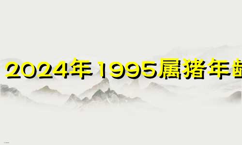 2024年1995属猪年龄多大 