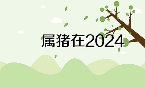 属猪在2024 生肖猪在2024年的运势