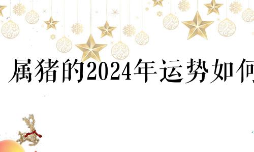 属猪的2024年运势如何 属猪2024年运势及运程详解