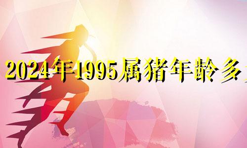 2024年1995属猪年龄多大 1995属猪的2023年运势怎么样