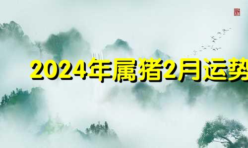 2024年属猪2月运势 2024年猪人全年运势