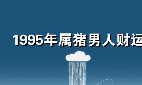 1995年属猪男人财运