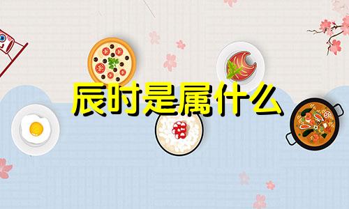 辰时是属什么 辰时是什么生肖辰