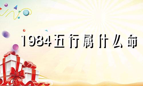 1984五行属什么命 属鼠1984五行属什么