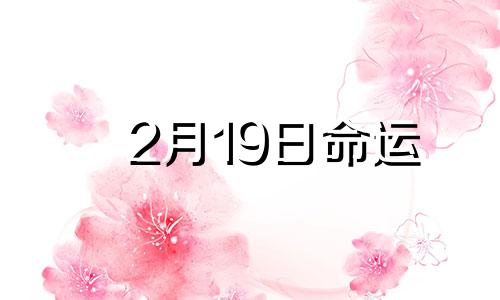 2月19日命运 2月19号是什么命