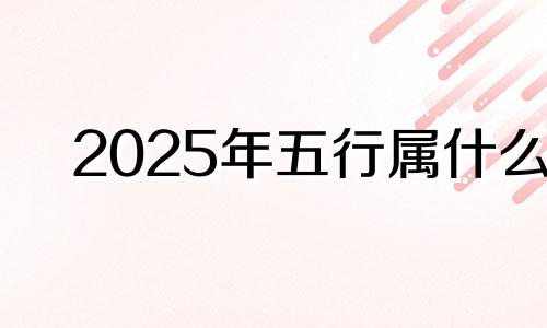 2025年五行属什么